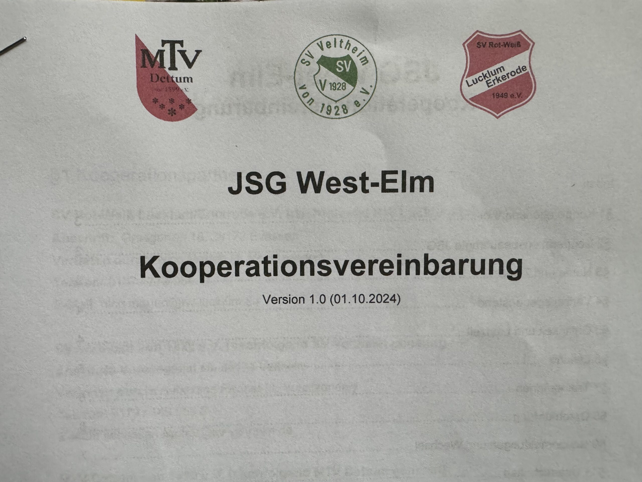 JSG West Elm Kooperationsvertrag